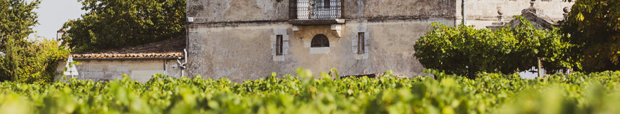 Vente de vin rouge: AOC Lussac Saint-Émilion